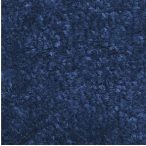   Szennyfogó szőnyeg beltérre, polipropilén felső, kék 1500x900 mm