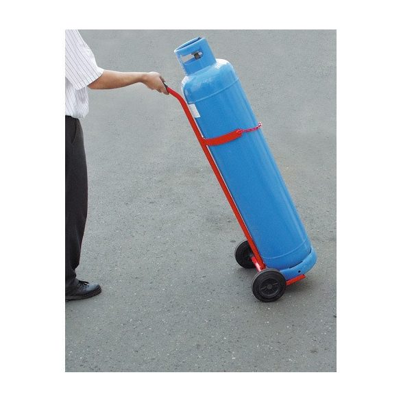 AB5010 Palackszállitó 